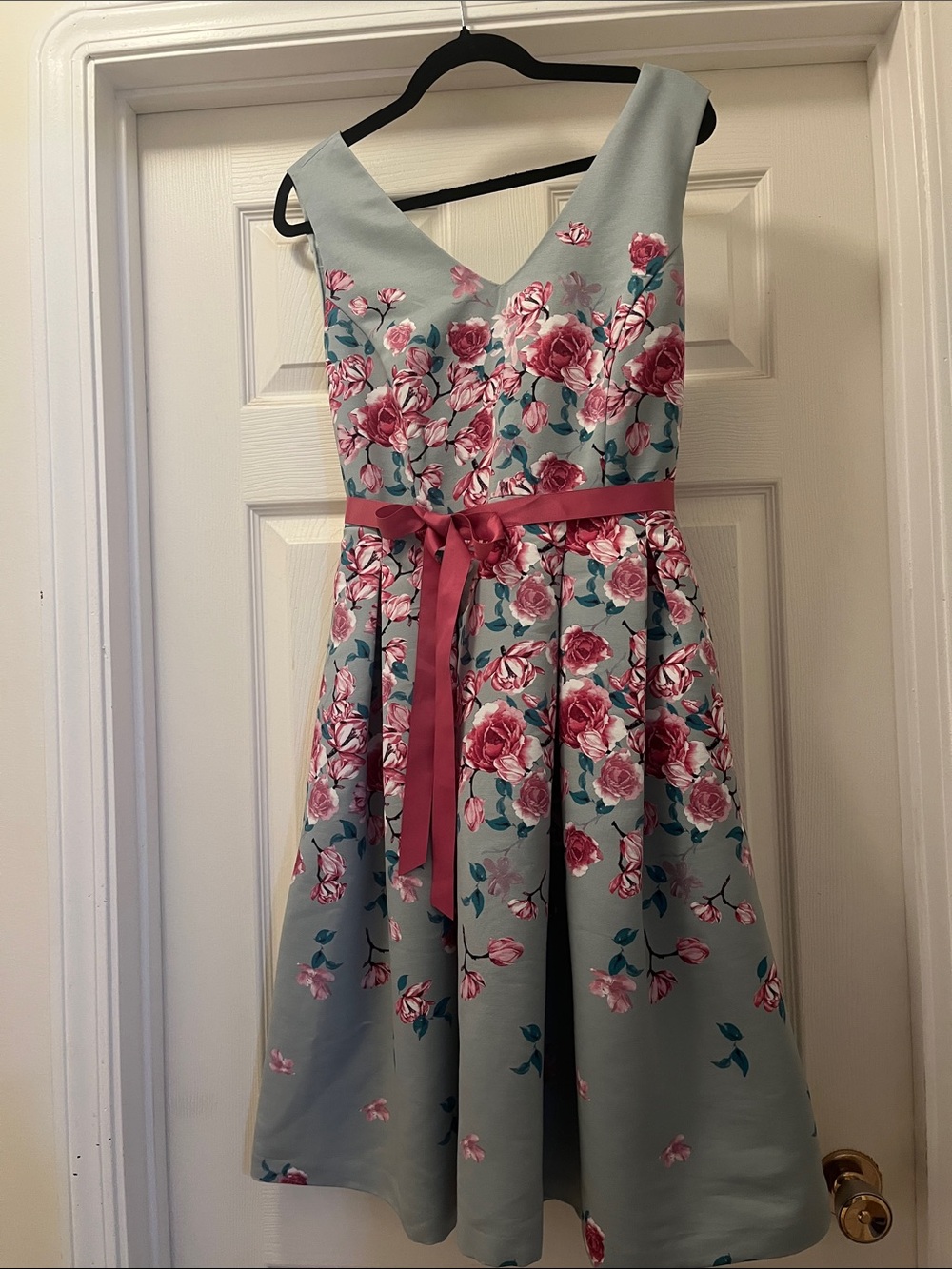 floral Fit and Flare Pleated Dress in Sage with Pink Roses